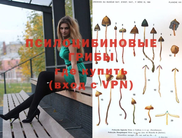 круглые Вязники